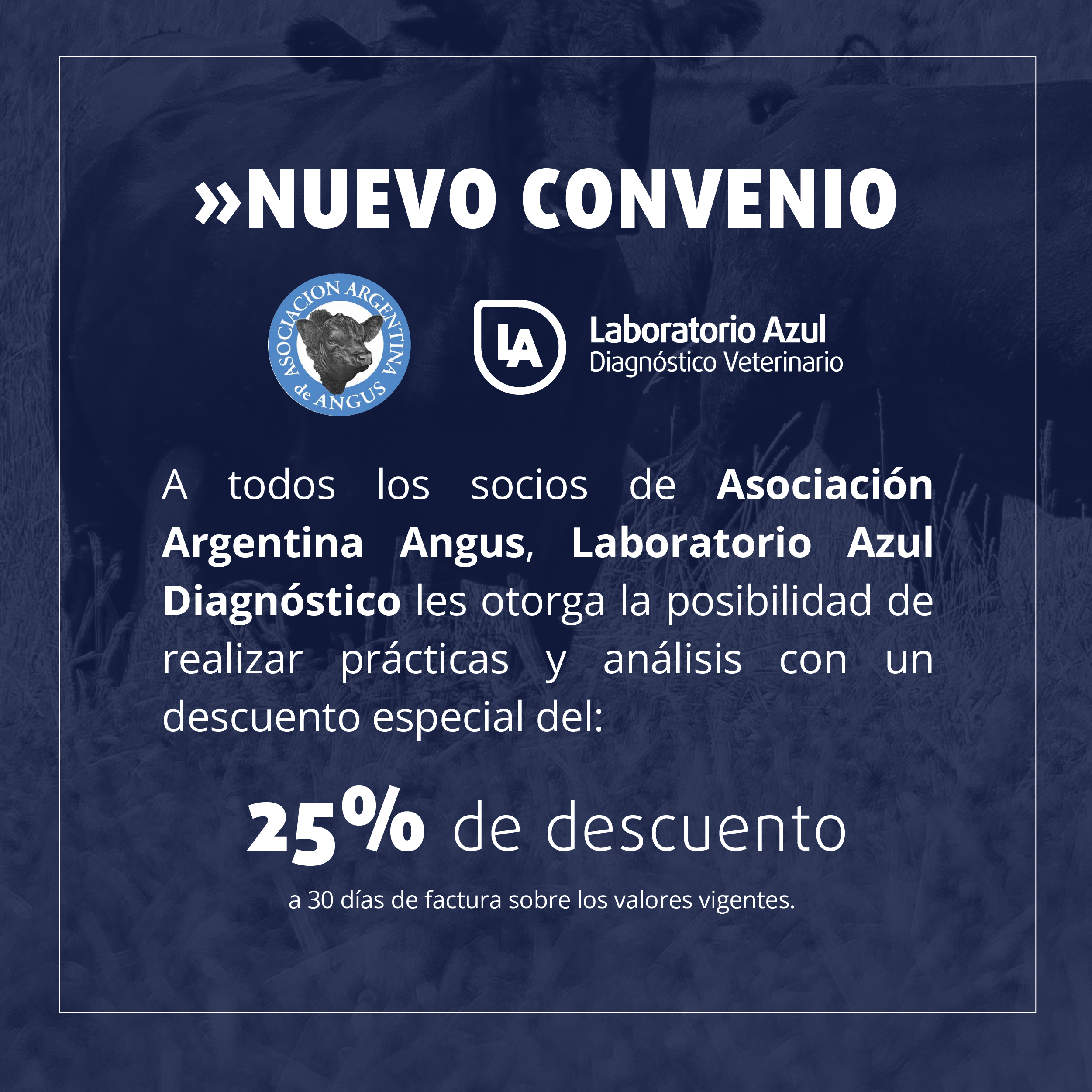 LABORATORIO AZUL